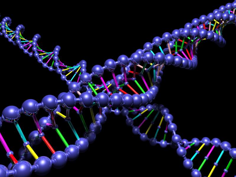 DNA purple pic